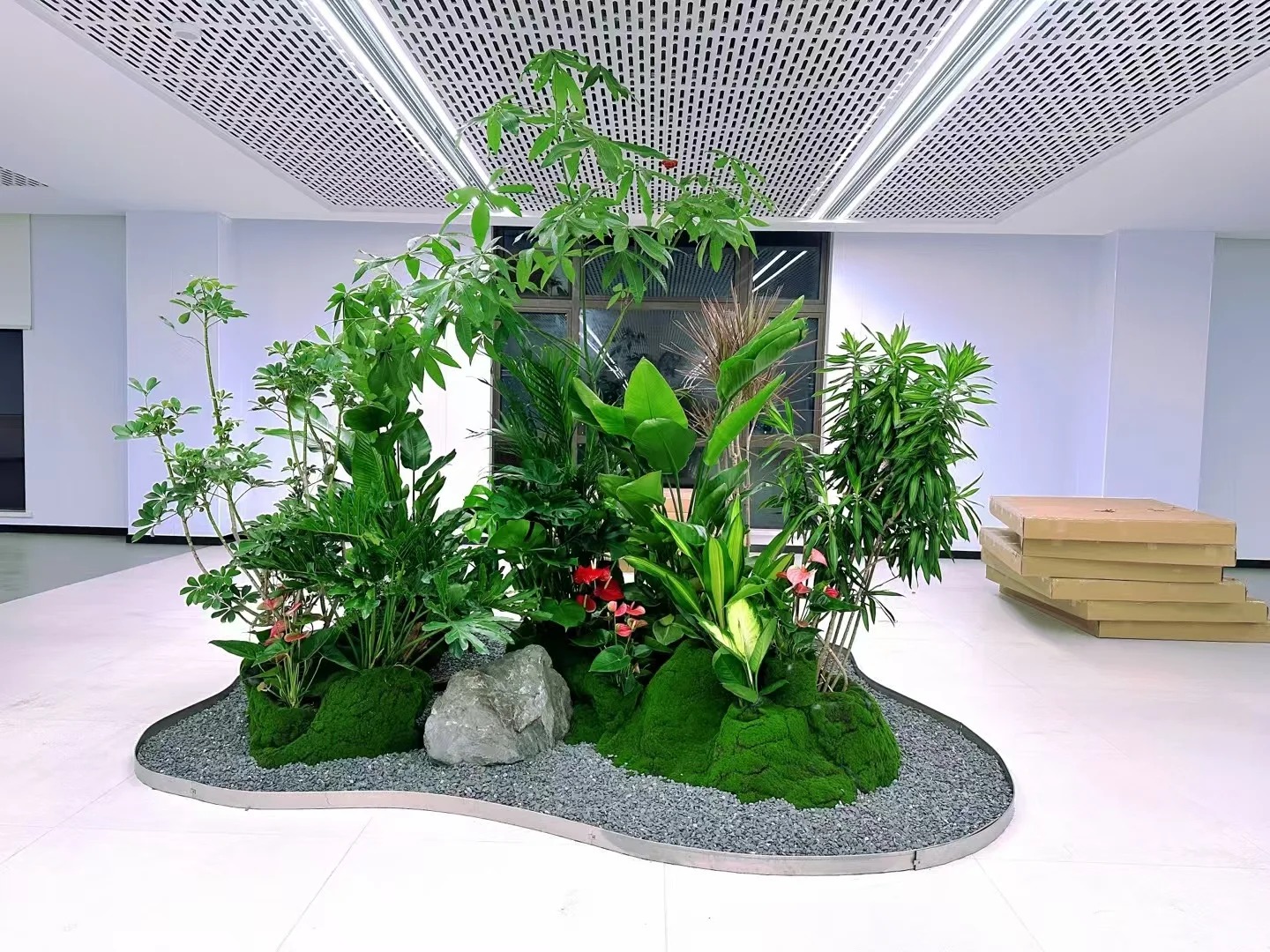 了解宁波奉化植物出租,拥抱清新自然风